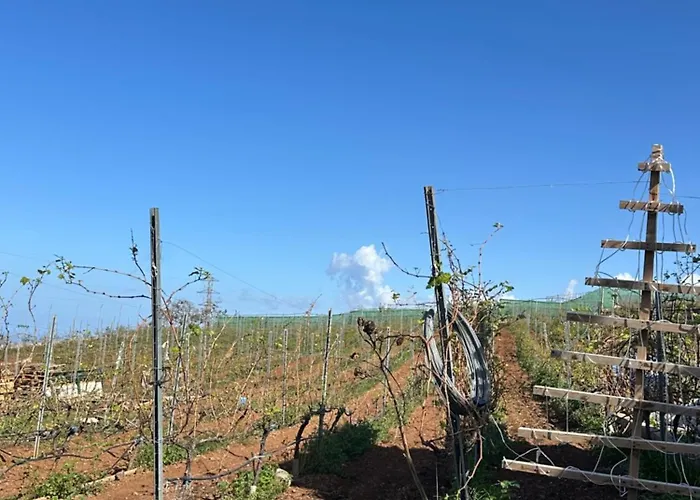 Hacienda Flores Villa *